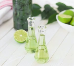 Flavor industry essential oils and essences