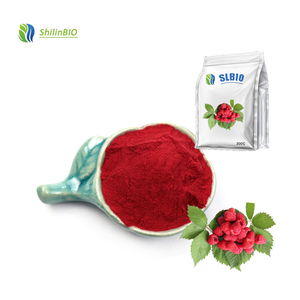 High Quality Raspberry Flavor Fruit Juice Concentrate Powder