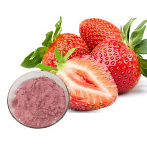 Wholesale Halal Certified Food Grade Wild Strawberry Juice Powder Concentrate Fruit Extract