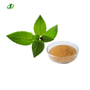 Bulk Wild Mint Leaf Extract Powder Exporter