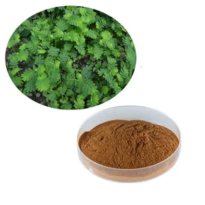 High Purity Phyllanthin Raw Powder Herbal Extract Exporter China