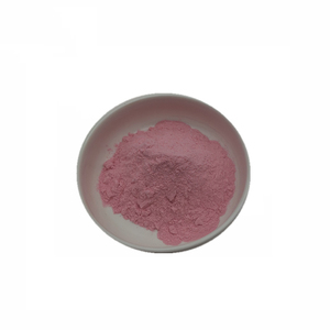 Cranberry Fruit Juice Powder