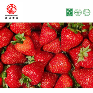 IQF Frozen Strawberries Whole Bulk Pack