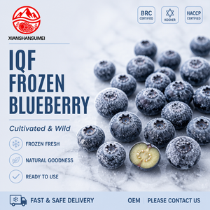 Bulk Frozen Blueberry Whole IQF Wild Berries