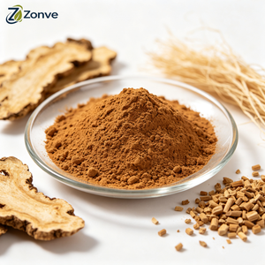 Angelica Sinensis 10:1 Root Extract Powder Bulk Exporter