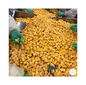 Best Price For Wholesale Frozen Pumpkin Whole / Chunk / Puree Origin Vietnam / Calabaza Congelada Entera Top Products