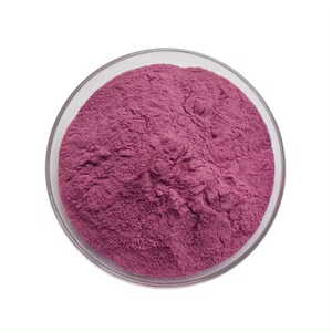 Bulk Supply Pure Blueberry Fruit Powder Blueberry Powder Blueberry Juice Powder